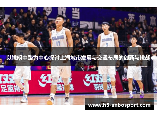 以姚明中路为中心探讨上海城市发展与交通布局的创新与挑战