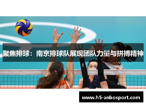 聚焦排球：南京排球队展现团队力量与拼搏精神