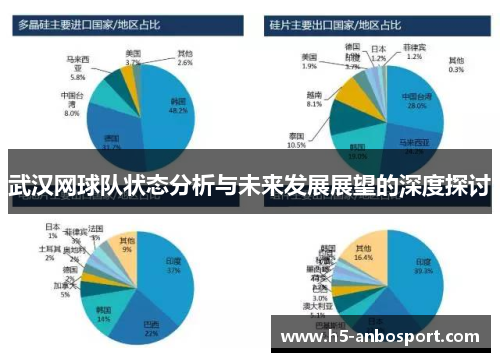 武汉网球队状态分析与未来发展展望的深度探讨