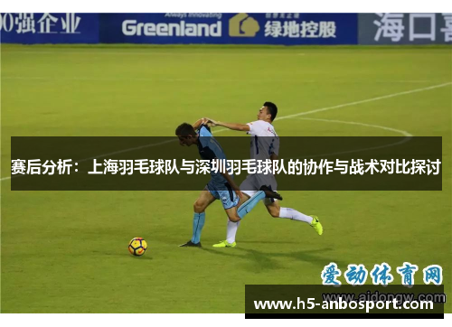 赛后分析：上海羽毛球队与深圳羽毛球队的协作与战术对比探讨